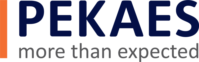 Logo_PEKAES